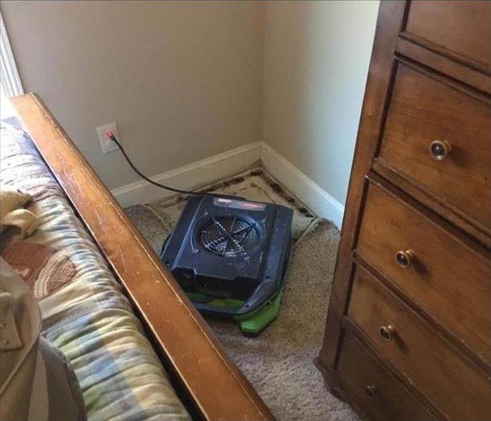 Carpet is folded an air mover is placed to dry up space, mold growth under carpet